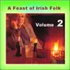 Various Artists - Feast of Irish Folk 2